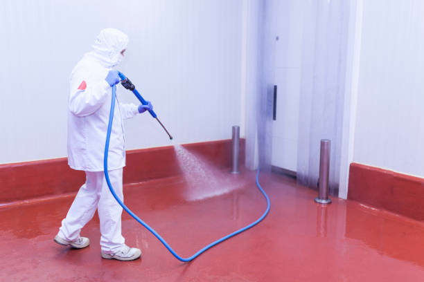 Paint Preparation in North Highlands, CA