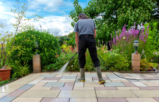 Best Winterizing Services  in North Highlands, CA